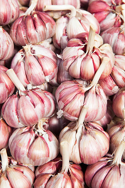 istock Garlics at Market 503735906