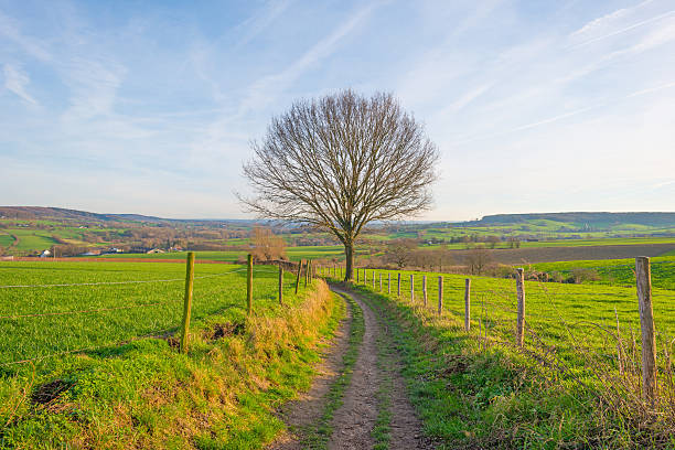 istock Path along a sunny hilly meadow in winter 503736424