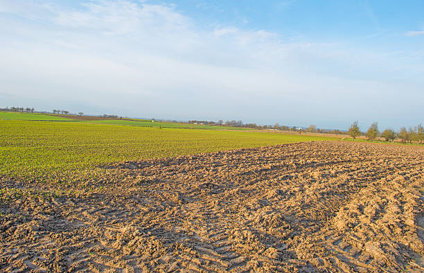 istock Sunny hilly plowed field in winter 503737636