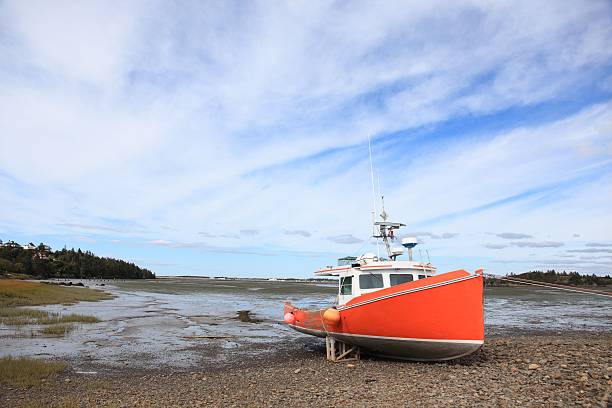 istock Fishing boat  at low tide 503738002