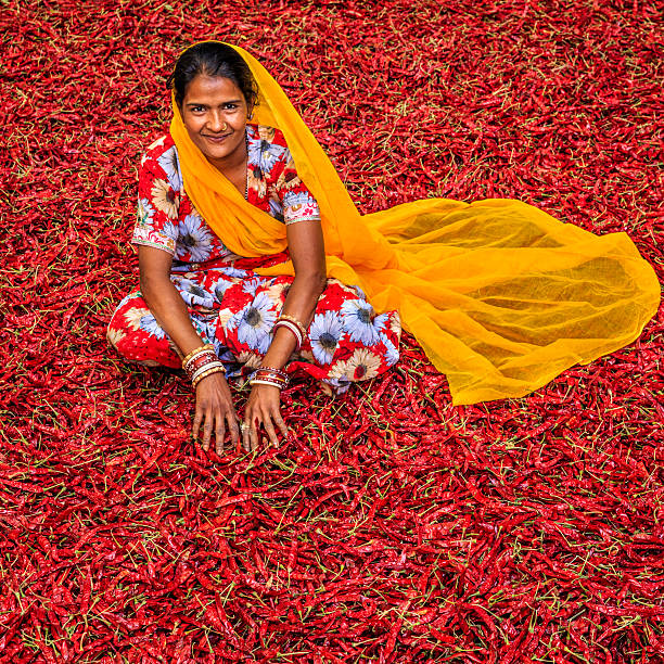 istock Young Indian woman sorting red chilli peppers, Jodhpur, India 503739384