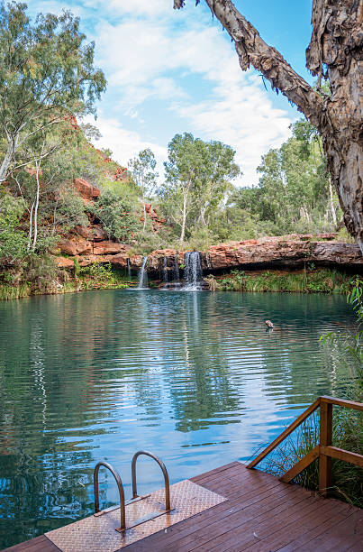 istock nature swimming pool karajini national park 503740376