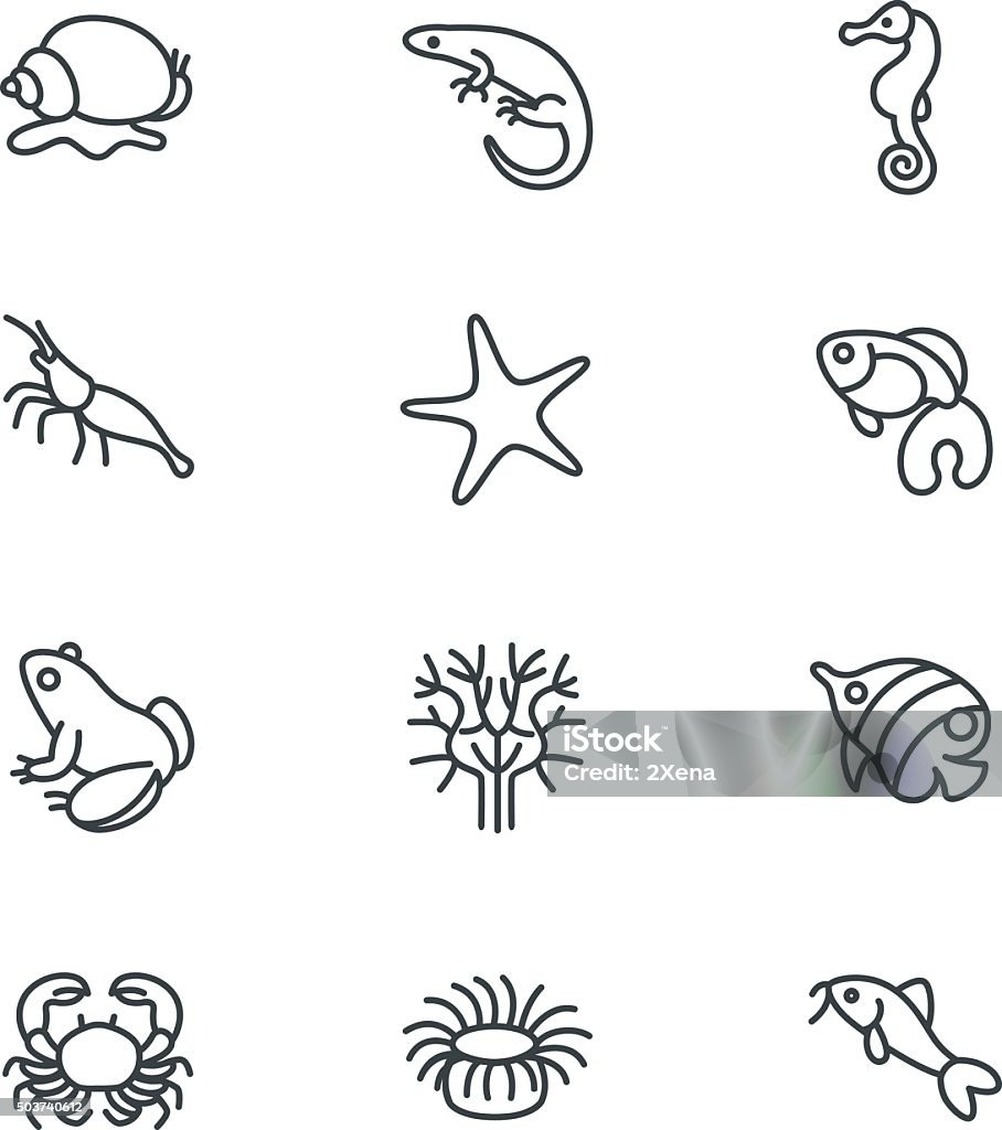 The most popular aquarium inhabitants as line icons There are typical aquarium inhabitants like snail, fishes, crabs and corals Amphibian stock vector