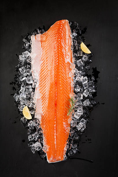 peixe salmão no gelo em um quadro negro - alaskan salmon imagens e fotografias de stock