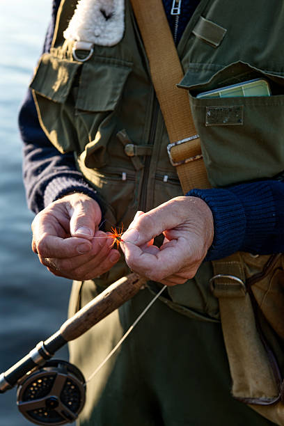Portrait Of Fisherman Tying A Fly On Stege Nor Denmark Stock Photo -  Download Image Now - iStock