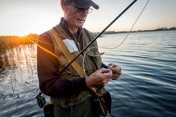Portrait of Fisherman Tying a Fly on Stege Nor Denmark Close up candid portrait of a fly fisherman, 64 years old, tying a fly onto his line. Photographed against a setting sun on Stege Nor on the island of Møn in Denmark. Colour, horizontal format with some flare coming into the lens from the setting sun, enhancing the  mood of the picture. tied knot photos stock pictures, royalty-free photos & images
