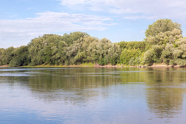 istock calm lake and green forest 503742192