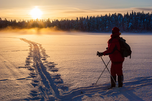 Female skier in beautiful winter landscape
