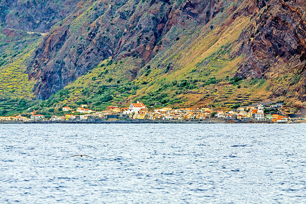 istock Sea Garden, Madeira 503743980