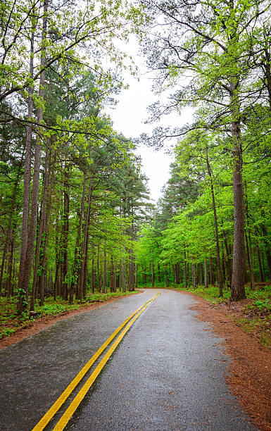 Talimena Scenic Drive Talimena Scenic Drive mark twain national forest missouri stock pictures, royalty-free photos & images
