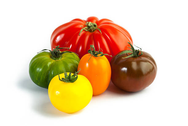 istock Different colors tomatos, Solanum lycopersicum, on white backgroung 503755984