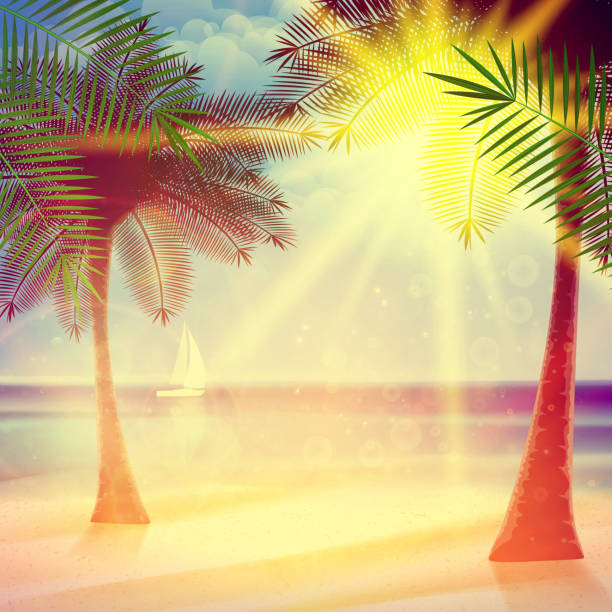 istock Vintage poster of tropical beach. 503756007