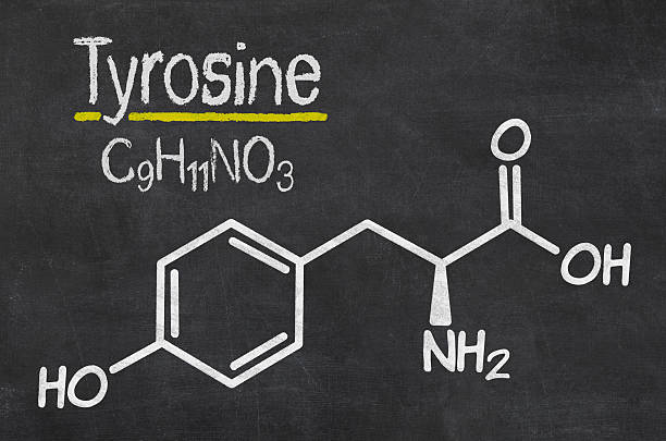 Blackboard with the chemical formula of Thyrosine Blackboard with the chemical formula of Thyrosine tyrosine photos stock pictures, royalty-free photos & images
