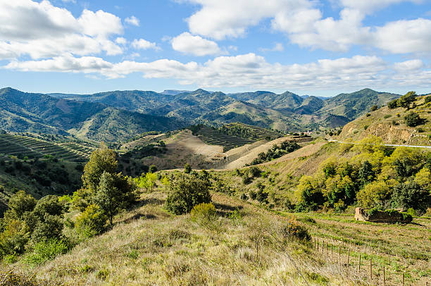Rural landscape in the Priorat, Spain stock photo