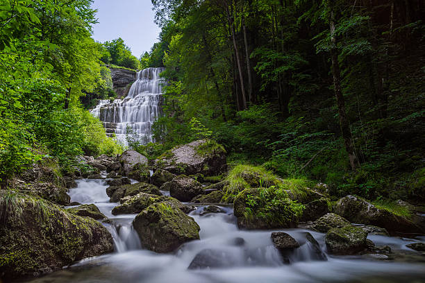 istock Hedgehog Waterfall in France 503756765