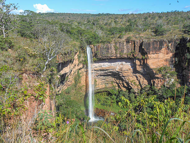 istock Chapada dos Guimaraes national park 503757139