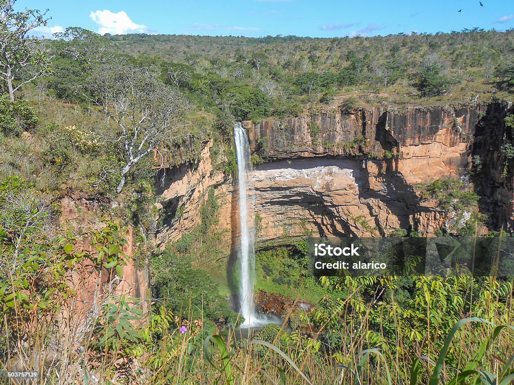 Parque Nacional da Chapada dos Guimarães - Foto de stock de Chapada dos Guimarães royalty-free