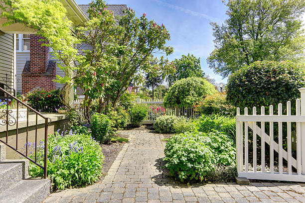 istock Green front yard with walkway 503757213