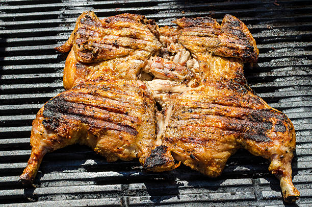 istock Chicken under a brick with panzanella salad 503757755