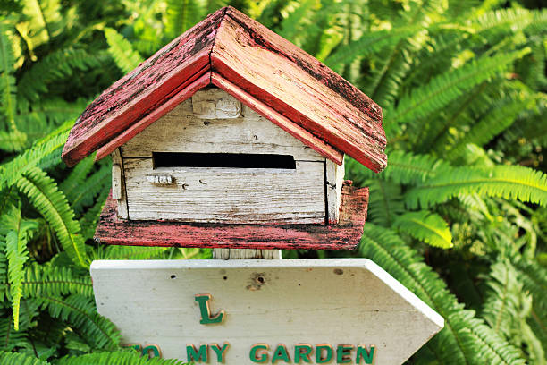 istock Mail box vintage style with green ferns. 503759359
