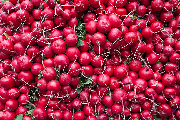 Fresh bunch of Radishes.