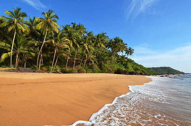 Paisaje de goa - foto de stock