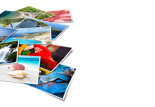 istock Pictures of holiday. 503760719