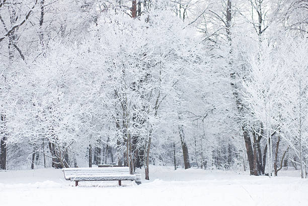 istock Snowy weather in park 503760878