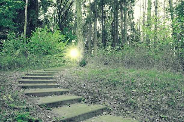 istock Beautiful scene in park with sun rays 503761078