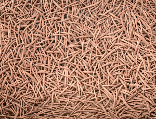 istock decorative background of brown handicraft weave texture wicker surface 503761578
