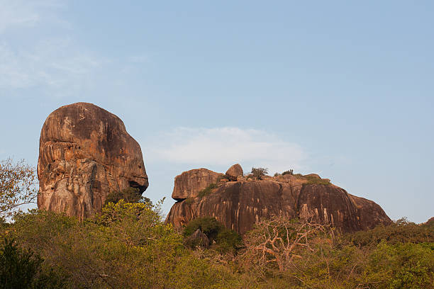 istock Safai in the Yala Nationalpark 503761759