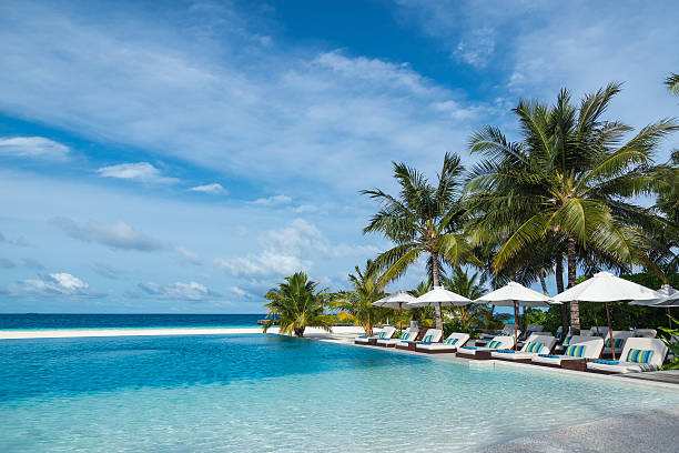 istock Perfect tropical island paradise beach and pool 503762079