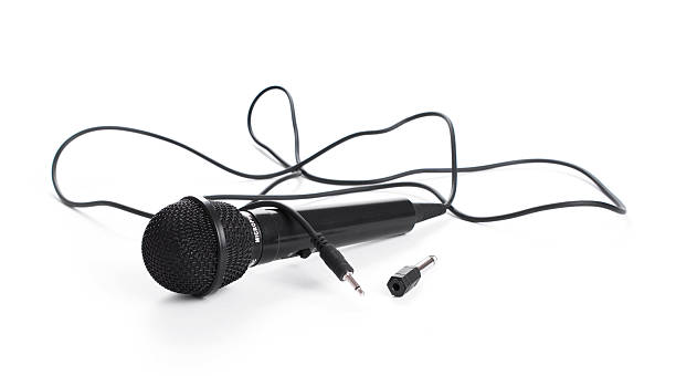istock Microphone isolated on the white background. Speaker concept. 503762222