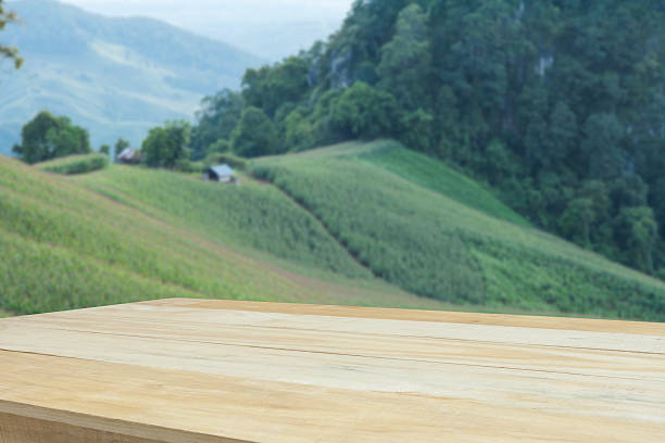 istock empty wood table for product display with nature background 503762460