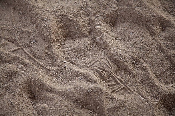 astronauta presença homem em marte pegada de sapato deserto pequeno passo - pista de aterragem - fotografias e filmes do acervo