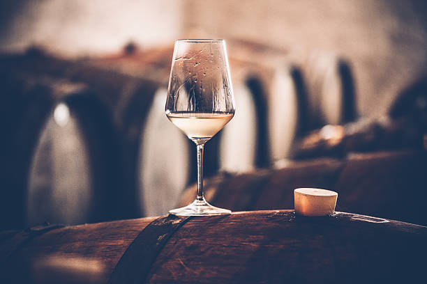 glass of white wine on a barrel in wine cellar - ton fotos stockfoto's en -beelden