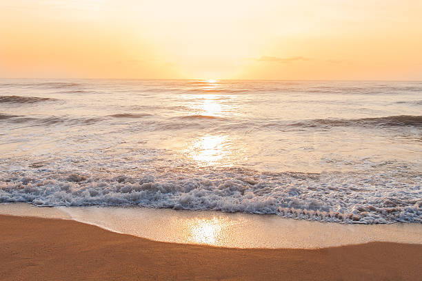 istock Tropical beach at beautiful sunrise. 503764354
