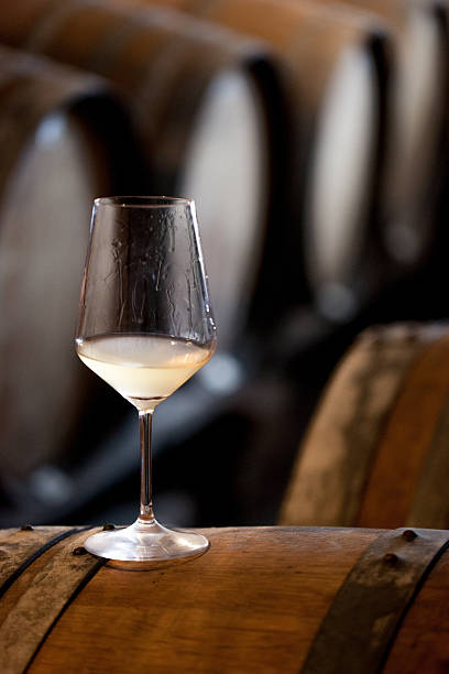 istock Glass of a White Wine on a Barrel 503764700
