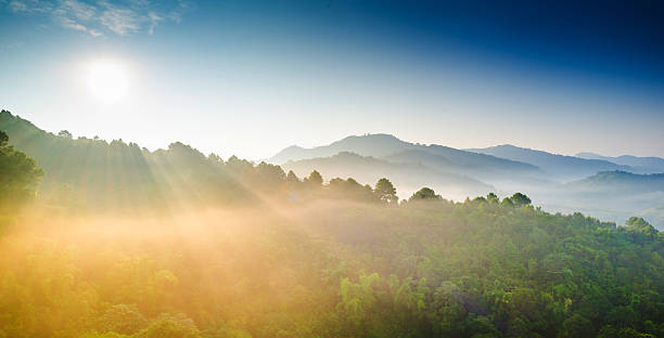 istock Panoramic view misty morning sunrise in mountain at north Thailand 503765484