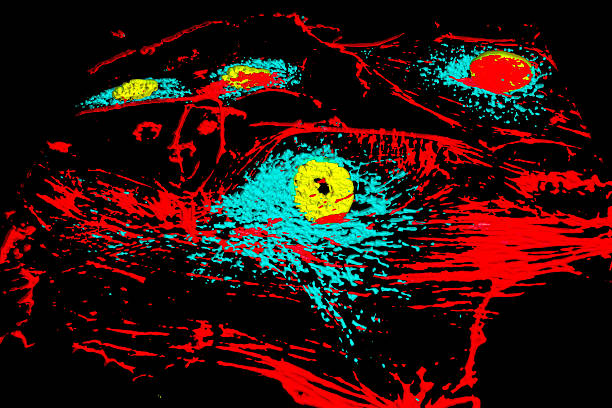 istock Bovine pulmonary arthery cells 503777380