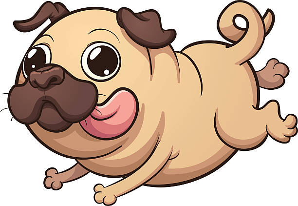 Cartoon Of The Fat Pug Illustrations, Royalty-Free Vector Graphics & Clip  Art - iStock