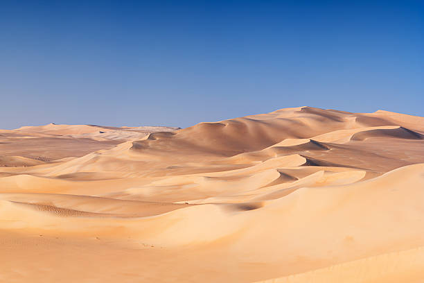 굉장해요 처박은 바다빛, 사하라 사막, 아프리카 - sand dune 뉴스 사진 이미지