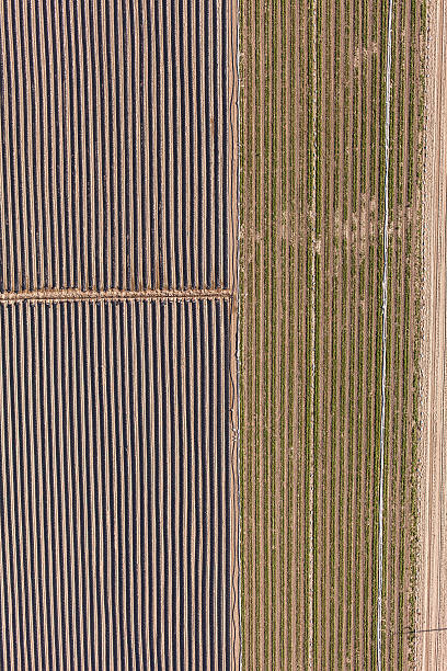 istock aerial view of harvest fields 503780036
