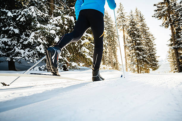 лыжный кросс на forrest - ski skiing telemark skiing winter sport стоковые фото и изображения