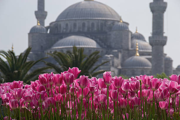 istock Symbols of İstanbul 503780698