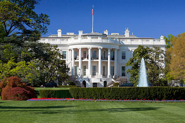 South Portico of the White House, Washington DC, USA. The South Portico of the White House. Washington DC. The White House is the official residence and principal workplace of the President of the United States, located at 1600 Pennsylvania Avenue. Beautifully landscaped lawn with flowers, fountain and blooming trees is in foreground. Deep blue clear sky is in background. American flag is flying atop. The image lit by spring evening sun. Canon 24-105mm f/4L lens. clear sky usa tree day stock pictures, royalty-free photos & images