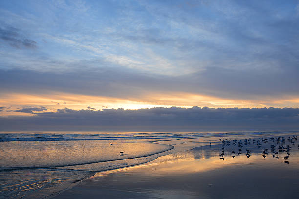 istock Beautiful sunrise at the beach. 503781290