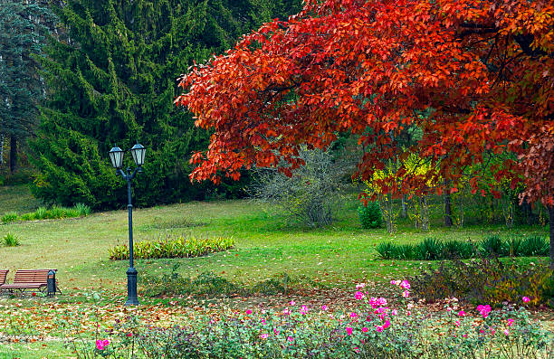 Resort park - ornament and pride of Kislovodsk,Northern Caucasus.