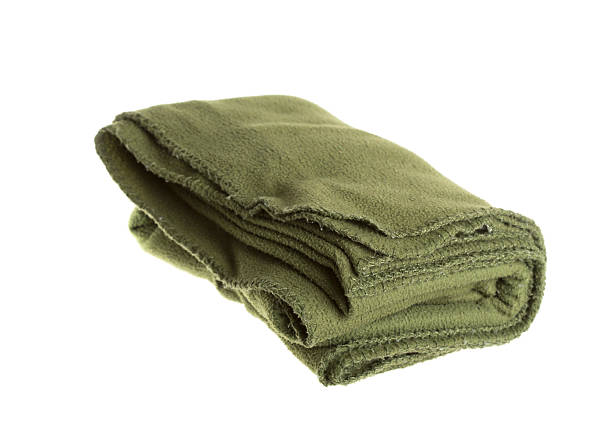 istock Green Fleece Blanket 503782559