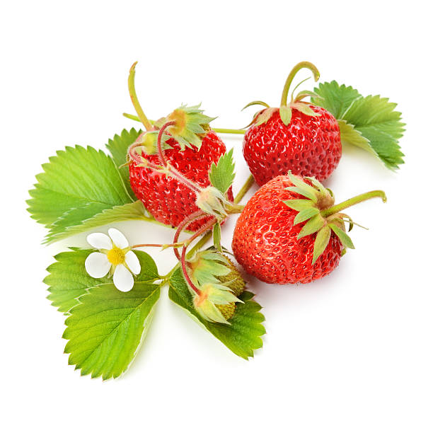 istock strawberries and green leaves 503782634